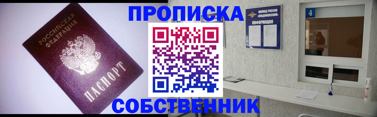 прописка законно в Щёлково